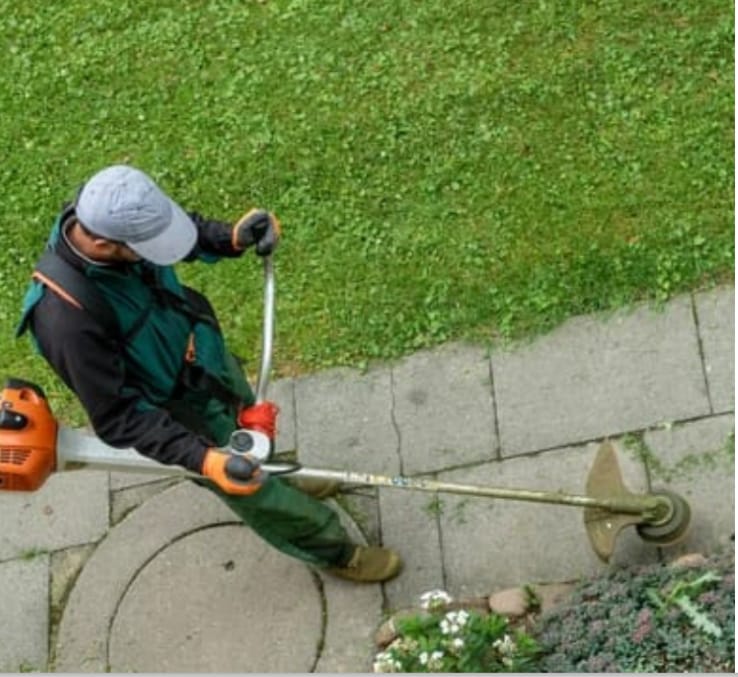 WhatsApp Image 2025-02-20 at 20.10.55 (1).jpeg