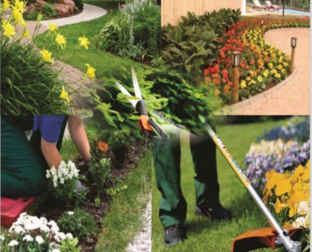 WhatsApp Image 2025-02-20 at 20.28.34.jpeg